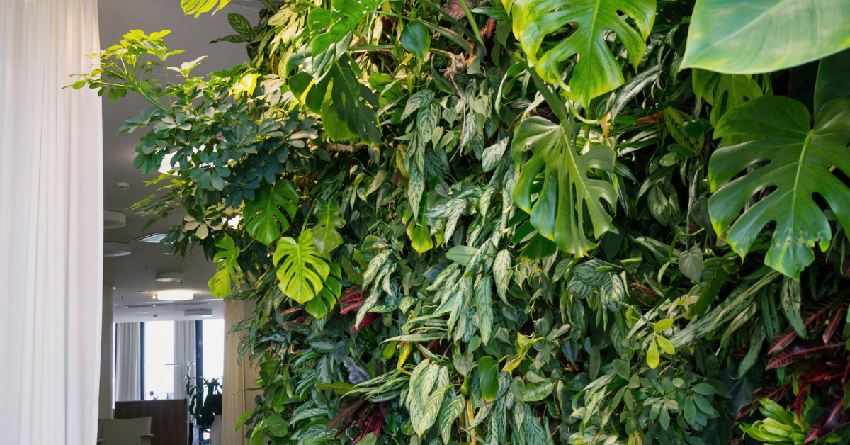 What is a Living Wall? Discover the Benefits and Types of Green Wall Installations